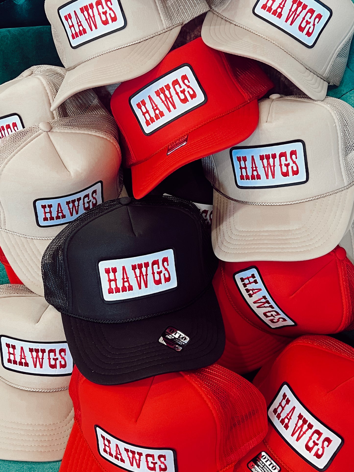 Hawgs Patch Trucker Hat